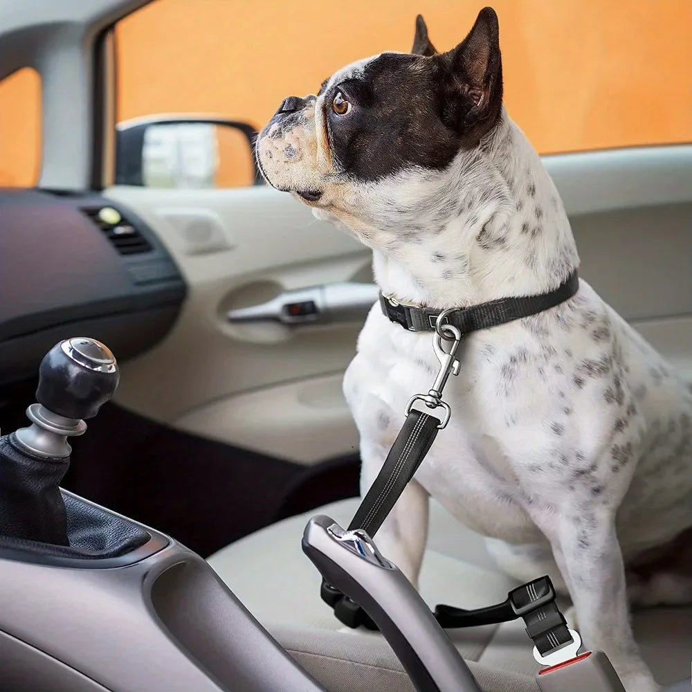 SafeRide Adjustable Dog Seat Belt